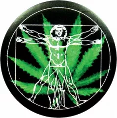 Button Badge Hanf & Healthy