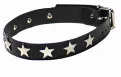 Star Studs Leather Choker