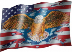 USA Adler - Fahne