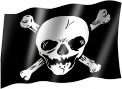 Skull - Flag