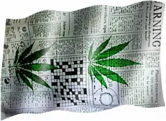 Hemp - Flag