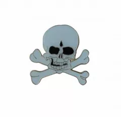 Skull Pin