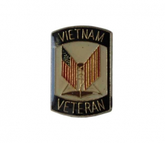 Pin Badge Vietnam Veteran