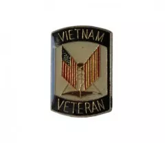 Pin Badge Vietnam Veteran