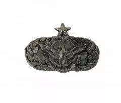 Badge Pin Sky Eagle