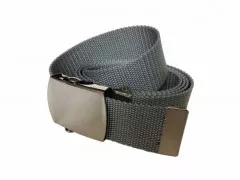 Light Grey Canvas Belt