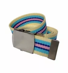 Yellow & Blue Canvas Belt