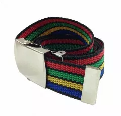 Multicolour Canvas Belt