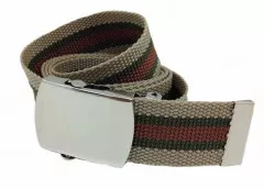 Beige & Brown Canvas Belt