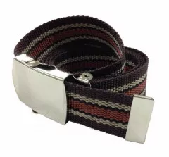 Brown & Beige Canvas Belt