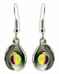 Earrings Multicolored Stone