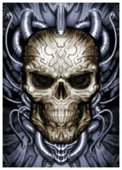 Postcard Set Spiral Collection