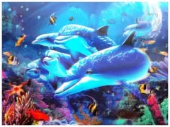 3D Poster Underwater Life