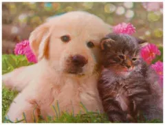 3D Poster Cat and Dog Friends Forever