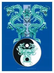 Poster Flag Tao Twins Dragons