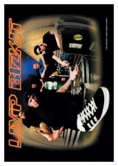 Poster Flag Limp Bizkit - Crate