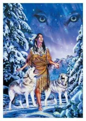 Poster Flag David Penfound - Wolf Aurora