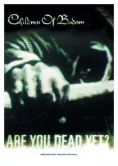 Poster Flag Children of Bodom