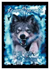 Poster Flag Sonata Arctica