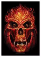 Posterfahne Spiral Collection