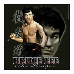 Aufkleber Set Bruce Lee