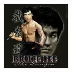 Sticker Set Bruce Lee