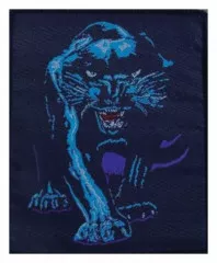 Patch Panther