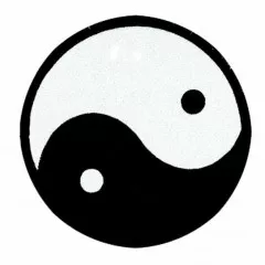 Patch Yin Yang