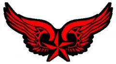 Patch Winged Nautical Star