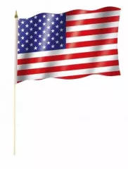 USA Hand Flag