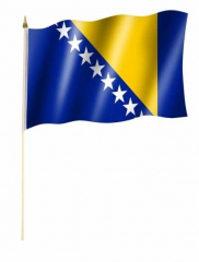 Bosnia and Herzegovina Hand Flag