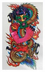 Tattoo Sticker Dragon