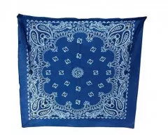 Bandana Scarf Blue | URBAC 013