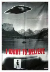 Poster Flag I Want To Believe