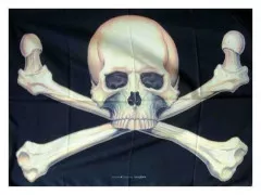 Poster Flag Totenkopf