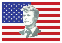 Poster Flag USA